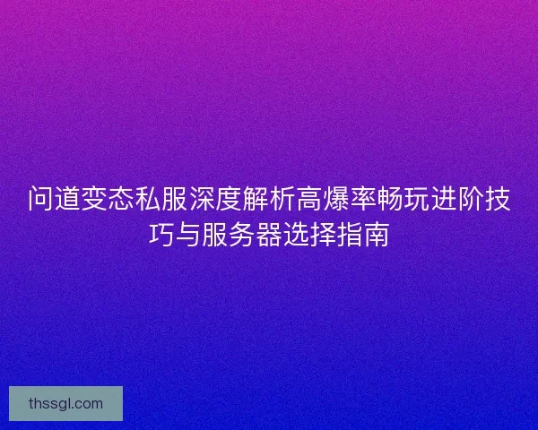 问道变态私服深度解析高爆率畅玩进阶技巧与服务器选择指南
